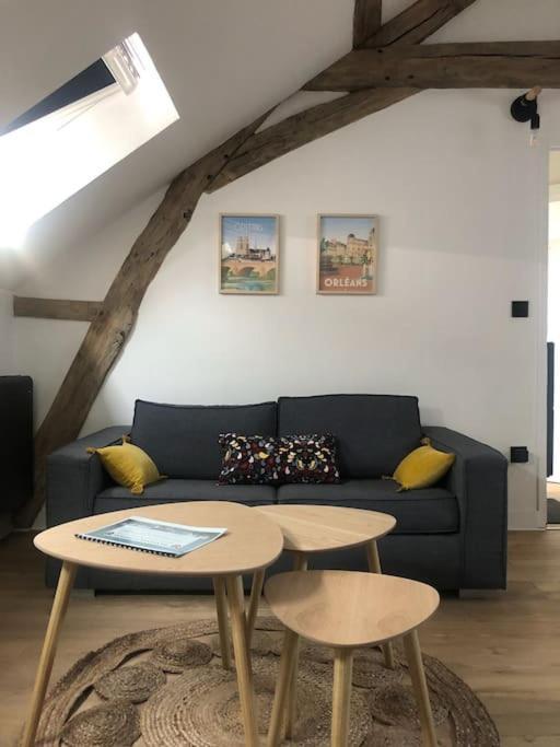 Apartament Le Domremy F2 Au Coeur D'Orlean Zewnętrze zdjęcie